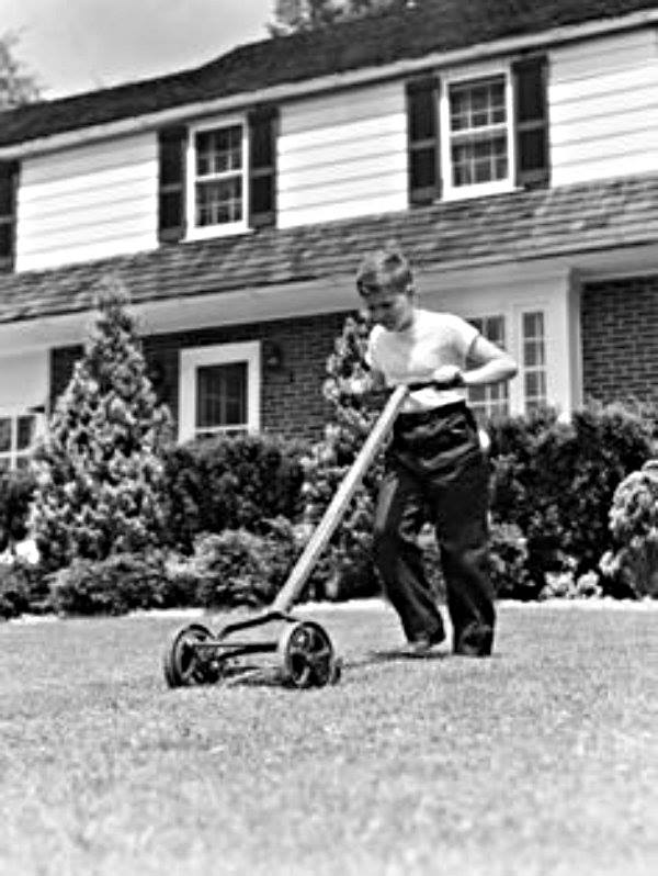 kid pushing lawn mower