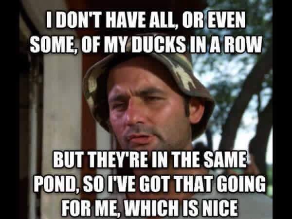 sick memes - I Don'T Have All, Or Even Some, Of My Ducks In A Row But They'Re In The Same Pond, So I'Ve Got That Going For Me, Which Is Nice