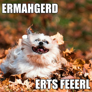 When the humidity finally lifts and you feel that first delicious breath of autumn