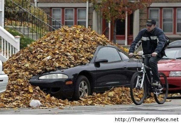 That was the last time Bob blew his leaves on all of his neighbors' properties.