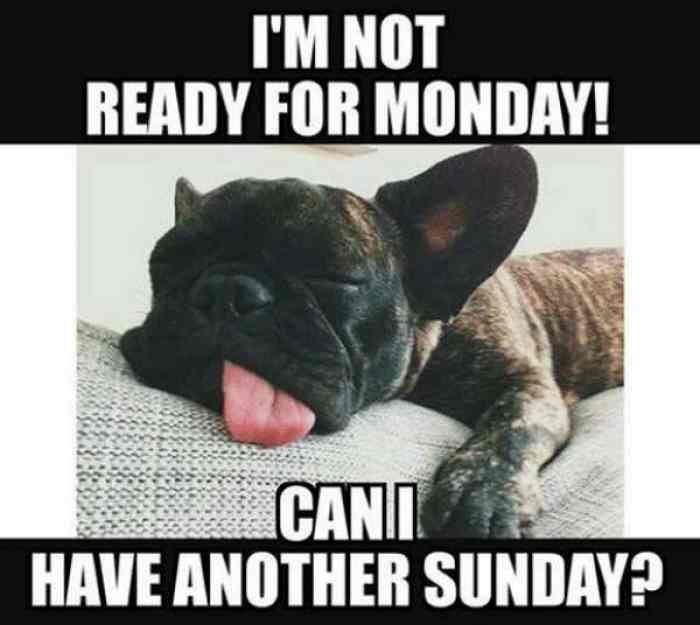 Sunday meme with a sleeping dog wanting the weekend to continue