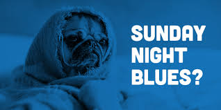 snout - Sunday Night Blues?