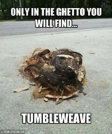 ghetto meme - Only In The Ghetto You Will Find. Tumbleweave Thehestadistered