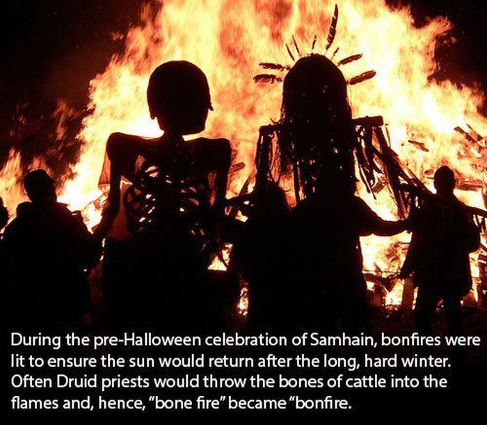 halloween weird facts - During the preHalloween celebration of Samhain, bonfires were lit to ensure the sun would return after the long, hard winter. Often Druid priests would throw the bones of cattle into the flames and, hence, "bone fire" became "bonfi