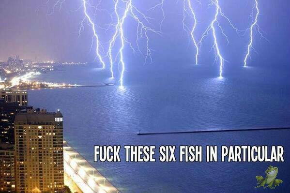 lightning strike lake michigan - Fuck These Six Fish In Particular