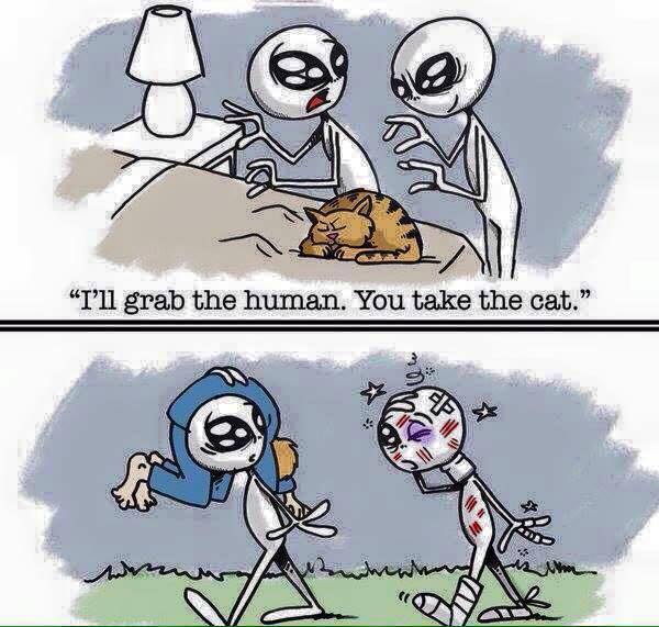 funny extraterrestrial memes - "I'll grab the human. You take the cat."