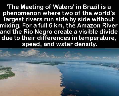 19 jaw dropping nature facts