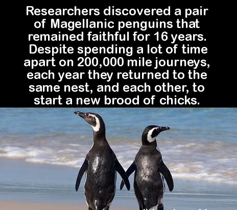 19 jaw dropping nature facts