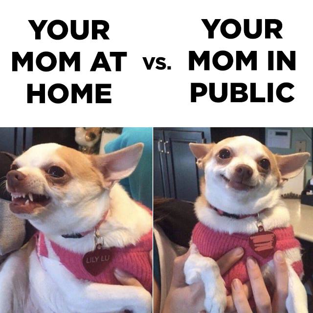 my mom at home vs in public - Your Your Mom At vs. Mom In Home Public Lily Lu