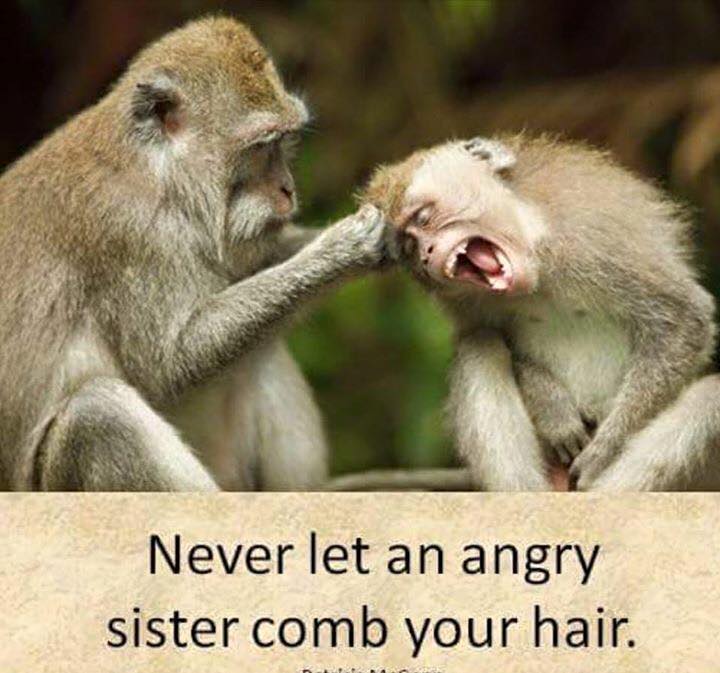 funny sisters - Never let an angry sister comb your hair.