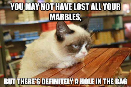 random pic grumpy cat memes - You May Not Have Lost All Your Marbles, But There'S Definitely A Hole In The Bag Quicknene.com