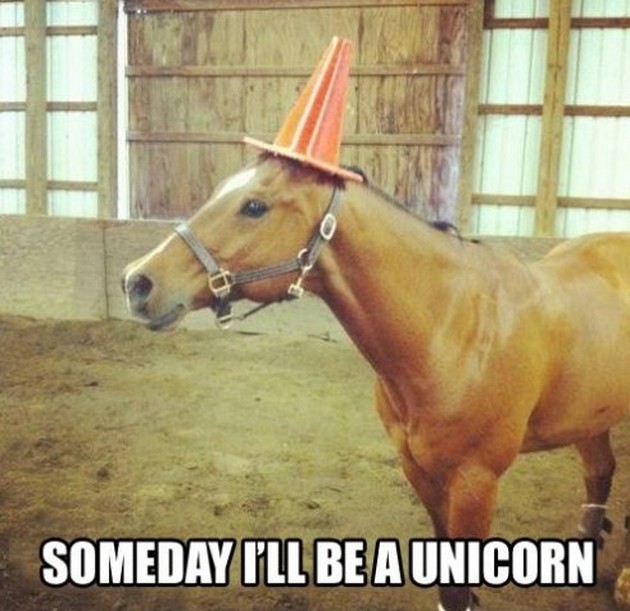 random pic someday i ll be a unicorn - Someday Ml Be A Unicorn