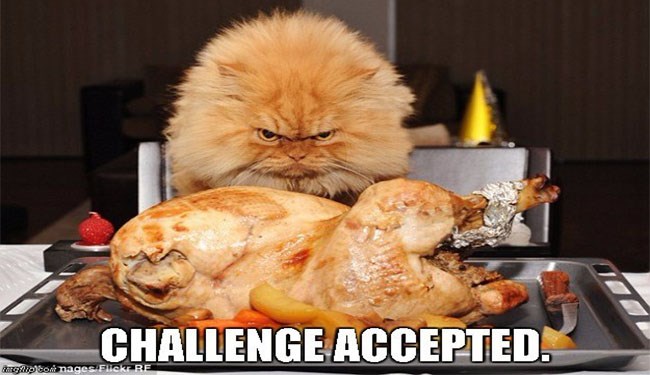 funny thanksgiving - Challenge Accepted. tonnages Flickr Re