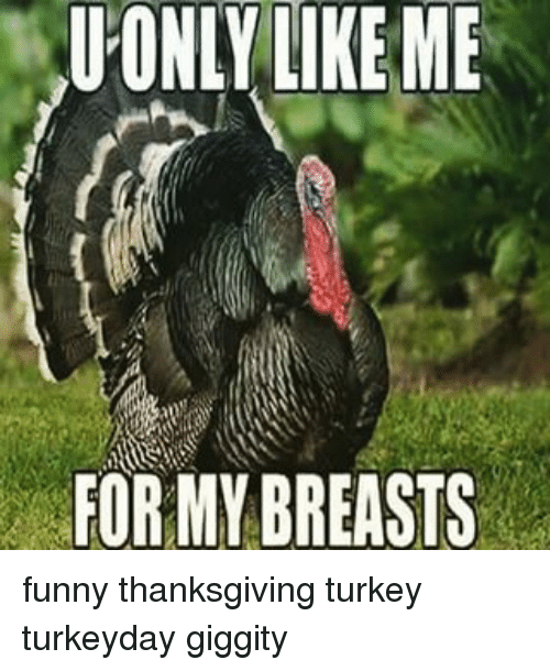 funny thanksgiving memes - Qu'Only Me For My Breasts funny thanksgiving turkey turkeyday giggity