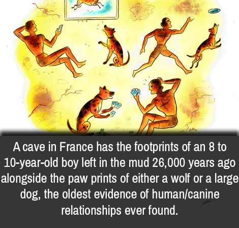 A cave in France has the footprints of an 8 to 10yearold boy left in the mud 26,000 years ago alongside the paw prints of either a wolf or a large dog, the oldest evidence of humancanine, relationships ever found.