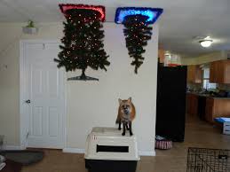 christmas cat proof your christmas tree