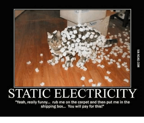 static electricity cat - Via 9GAG.Com Static Electricity "Yeah, really funny... rub me on the carpet and then put me in the shipping box... You will pay for this!"