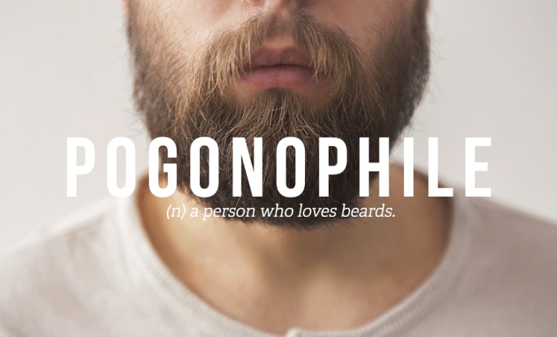 person who loves beards - Pogonophile n a person who loves beards.