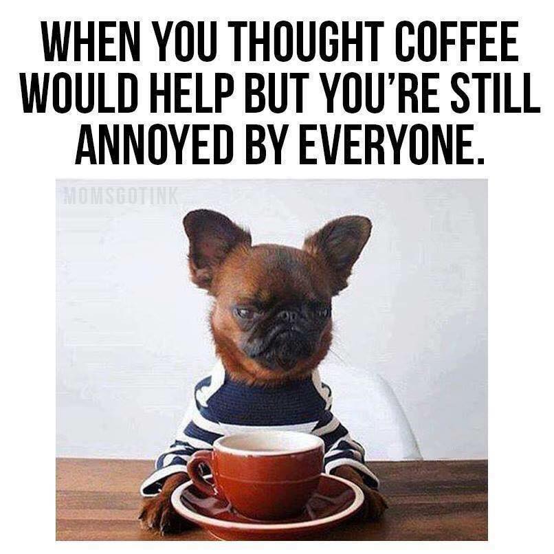 coffee meme - When You Thought Coffee Would Help But You'Re Still Annoyed By Everyone.