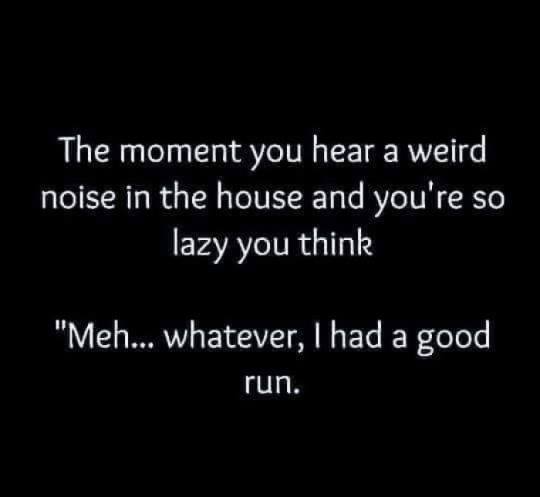 don t wanna miss a thing lyrics - The moment you hear a weird noise in the house and you're so lazy you think "Meh... whatever, I had a good run.