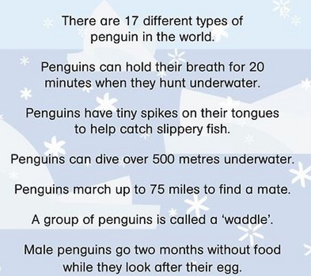 Penguins are the best