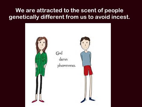 clothing - We are attracted to the scent of people genetically different from us to avoid incest. God damn pheromones.