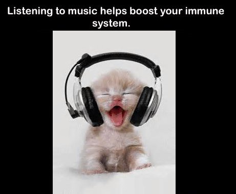 love music funny - Listening to music helps boost your immune system.