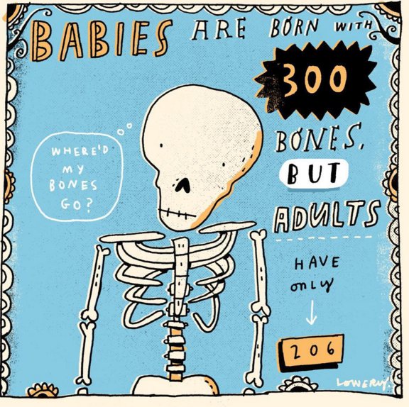 Illustration - Babies Are Now $300 Sm Bud Whered My Bones Go? Bones, But Adults Have only Avalan Vaaaa 2061 M Lower bana