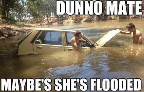 memes meanwhile in australia - Dunno Mate Maybe'S She'S Flooded