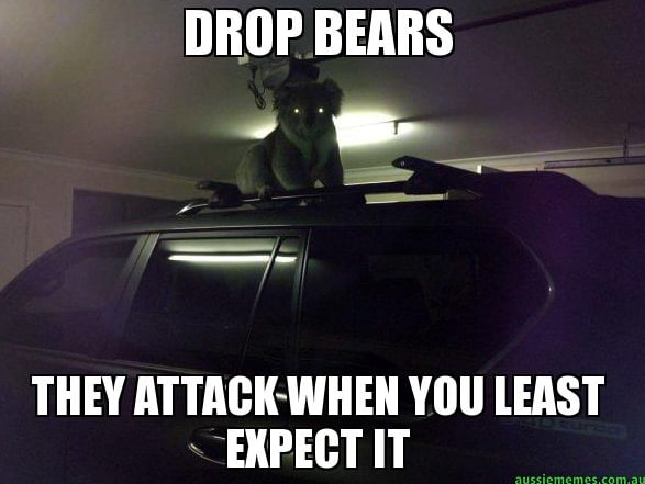 driving in australia meme - Drop Bears They AttackWhen You Least Expect It aussiememes.com.au