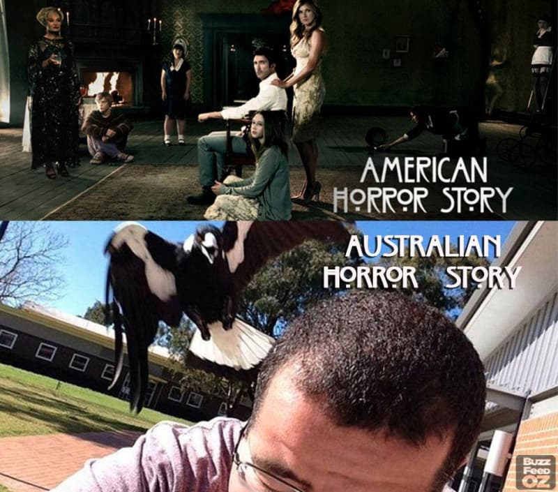 american horror story 2011 - American Horror Story Australian Horror Story Bu Food