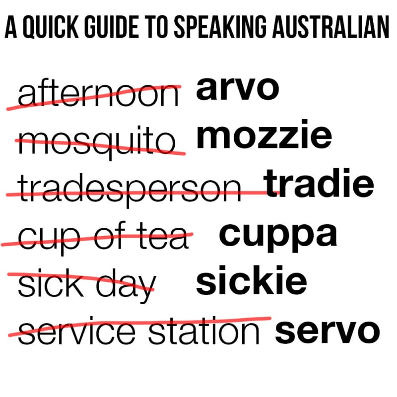 aussie memes - A Quick Guide To Speaking Australian afternoon arvo mosquito mozzie tradesperson tradie cup of tea cuppa sick day sickie service station servo