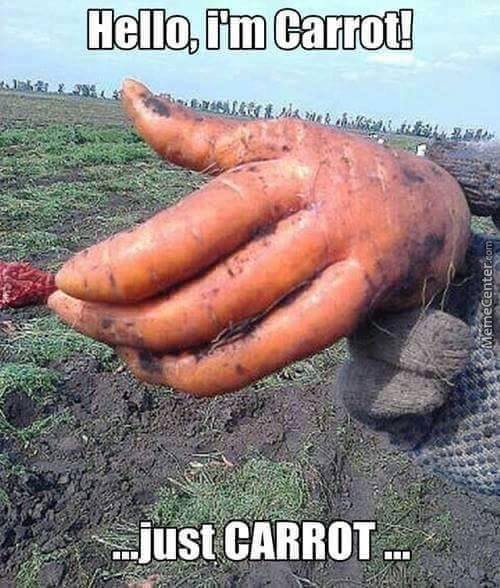 carrot funny - Hello, I'm Carrot! tas Scbn 28& MemeCenter.com ...just Carrot.