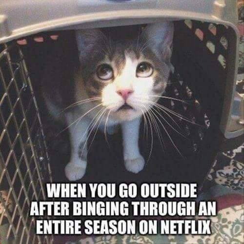 relatable meme about returning to the world after a netflix binge