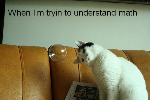 relatable meme about not knowing math with a cat tilting its head
