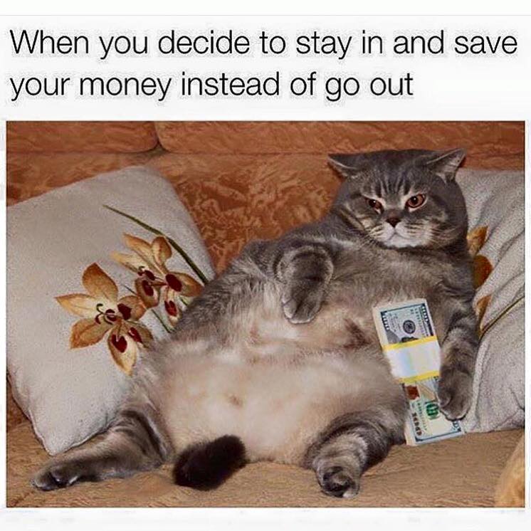 relatable meme about staying in with a fat cat laying with a wad of cash
