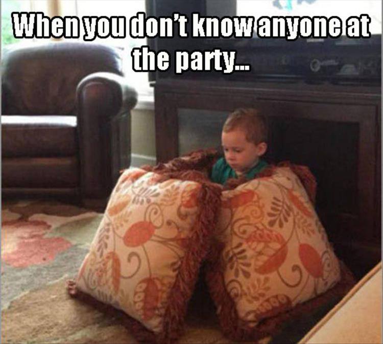 relatable meme about being alone at a party with sad gavin surrounded by pillows