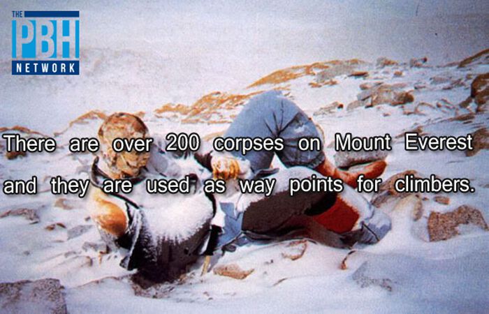 dead bodies on everest - Pbh Network There are over 200 corpses on Mount Everest and they are used as way points for climbers.
