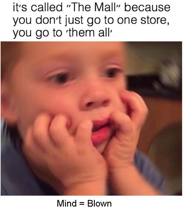shook meme - it's called "The Mall because you don't just go to one store, you go to them all' Mind Blown