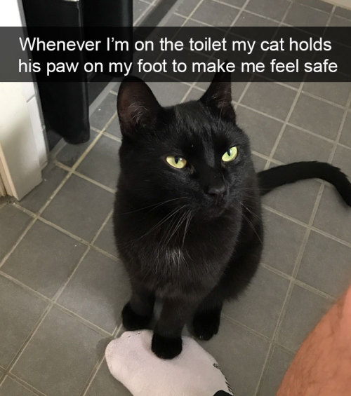 funny cats - Whenever I'm on the toilet my cat holds his paw on my foot to make me feel safe