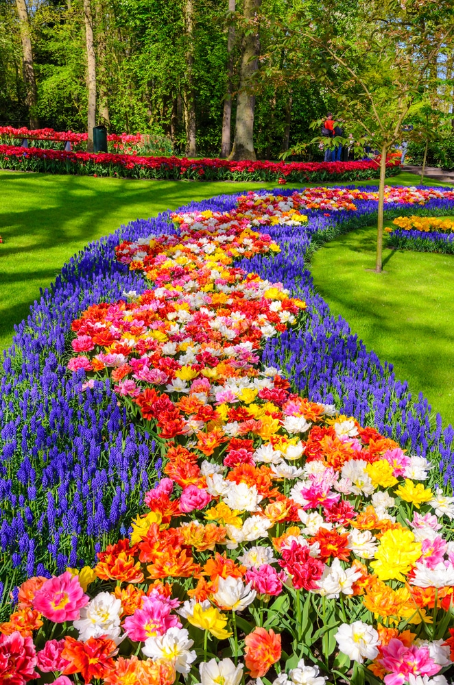 Now, take a deep breath and imagine the aroma of these flowers as you walk through the paths of this beautifl Keukenhof park and start (or go on) about your Monday with a peaceful, positive energy.