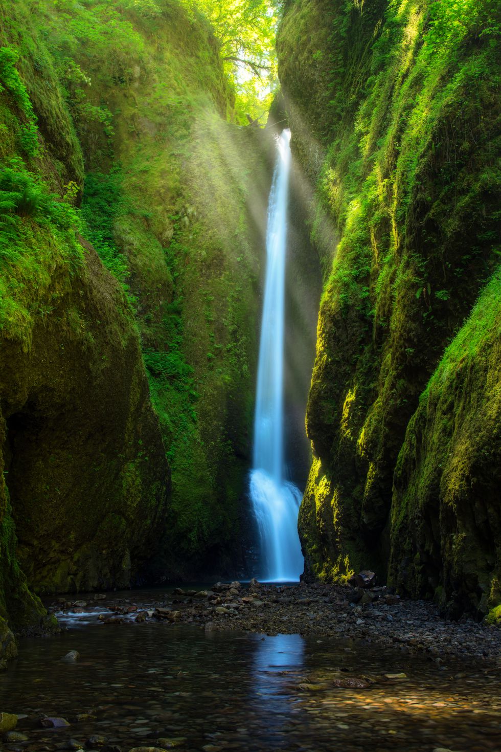 Can't you just feel the refreshing water, hear the splash of the waterfall, and feel your stress and world melt away?