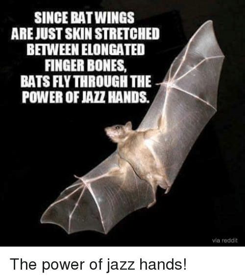 15 bats