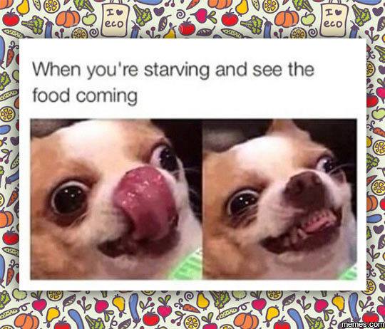 19 people who eat can relate to