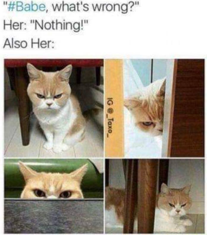 funny relationship meme quotes - ", what's wrong?" Her "Nothing!" Also Her Ig