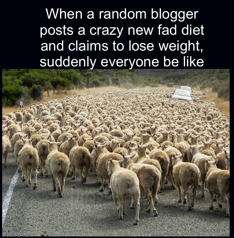 herd - When a random blogger posts a crazy new fad diet and claims to lose weight, suddenly everyone be