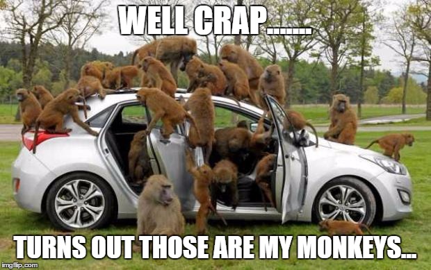 monkeys on car - Well Crap Turns Out Those Are My Monkeys. imgflip.com