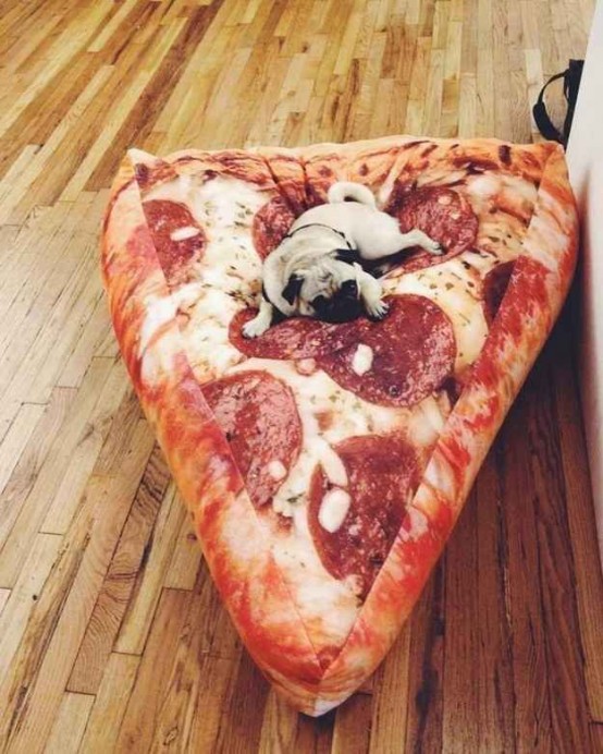 pug on pizza
