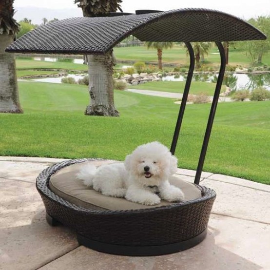 outdoor dog bed with canopy