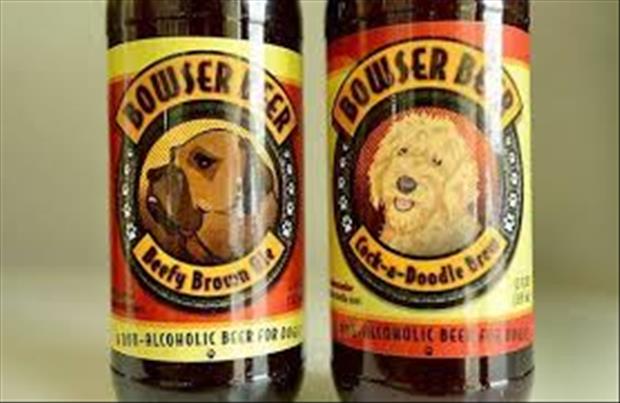 Now you can share a beer with your favorite buddy (the furry one)